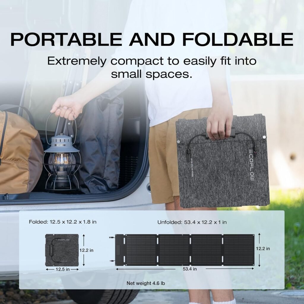 EF ECOFLOW 60W Portable Solar Panel, 25% High Conversion Efficiency N-Type Solar Cell for Power Stations, Camping, Backup Lightweight Foldable Hangable Solar Panel with Snap Hook, IP68 Waterproof