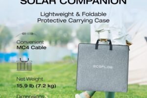 EF ECOFLOW DELTA 1300 review