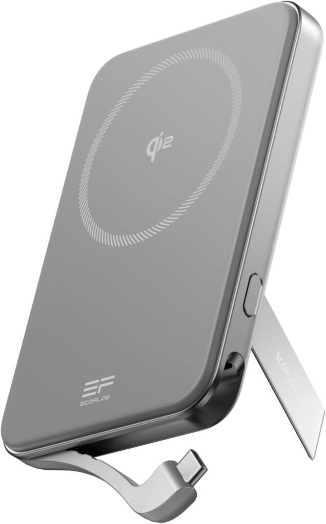 EF ECOFLOW Power Bank + 160W Solar Panel EF ECOFLOW Power Bank + 160W Solar Panel